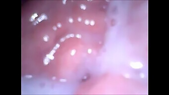 Close-Up Of Russian Babe'S Mouth, Vagina, And Ass During Webcam Show